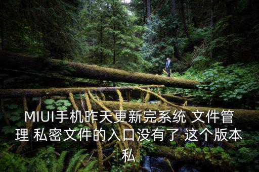 MIUI手機昨天更新完系統 文件管理 私密文件的入口沒有了 這個版本私