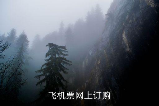 機(jī)票定購，飛機(jī)票網(wǎng)上訂購