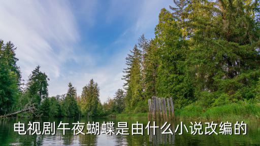 電視劇午夜蝴蝶是由什么小說改編的