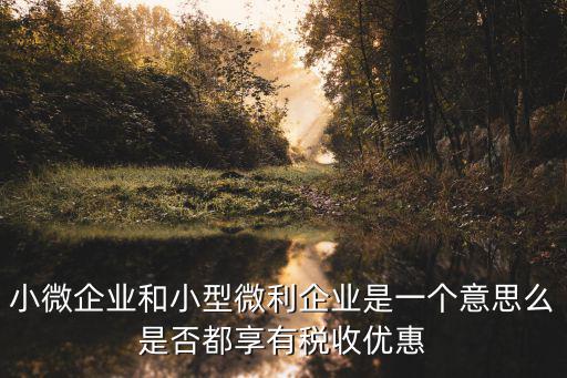微利企業(yè)，小微企業(yè)和小型微利企業(yè)是一個(gè)意思么是否都享有稅收優(yōu)惠