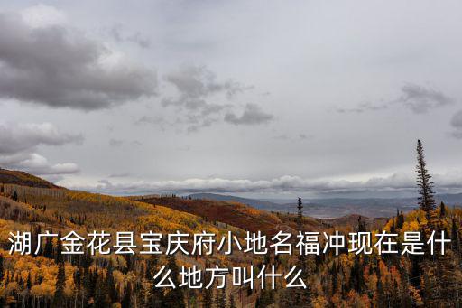 湖廣金花縣寶慶府小地名福沖現(xiàn)在是什么地方叫什么