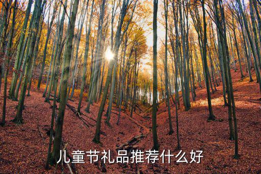 兒童節(jié)禮品推薦什么好