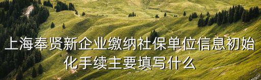 上海奉賢新企業繳納社保單位信息初始化手續主要填寫什么