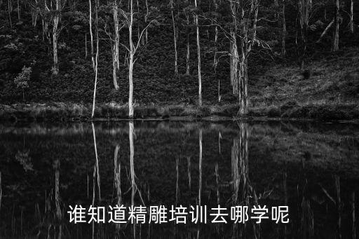 誰知道精雕培訓(xùn)去哪學(xué)呢