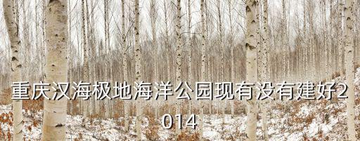 重慶漢海極地海洋公園現有沒有建好2014