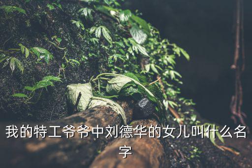 我的特工爺爺中劉德華的女兒叫什么名字