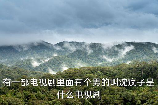 我的特一營演員表，有一部電視劇里面有個男的叫沈瘋子是什么電視劇