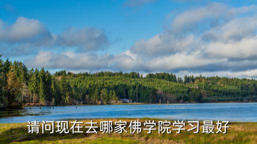 請問現在去哪家佛學院學習最好