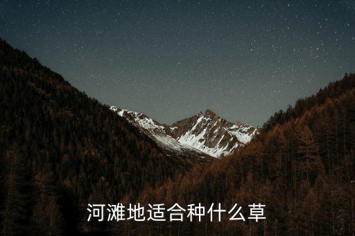河灘地適合種什么草