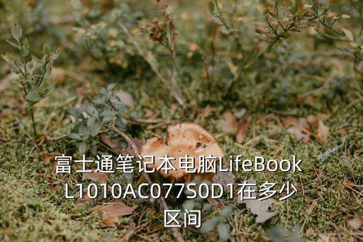 富士通筆記本電腦LifeBook L1010AC077S0D1在多少區(qū)間