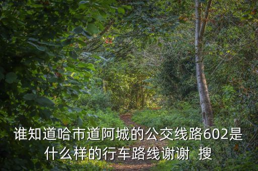 哈爾濱道，誰知道哈市道阿城的公交線路602是什么樣的行車路線謝謝  搜