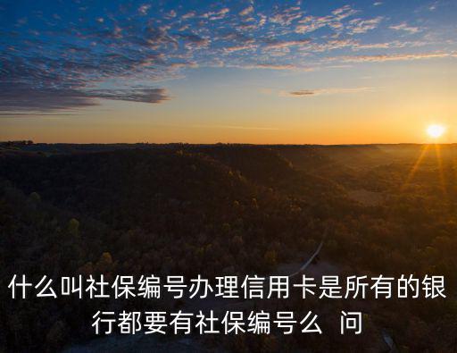 什么叫社保編號辦理信用卡是所有的銀行都要有社保編號么  問