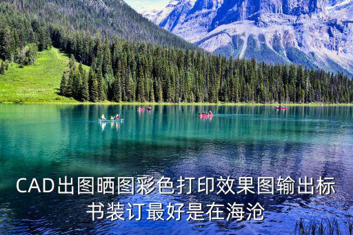CAD出圖曬圖彩色打印效果圖輸出標書裝訂最好是在海滄