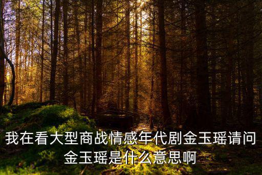我在看大型商戰情感年代劇金玉瑤請問金玉瑤是什么意思啊