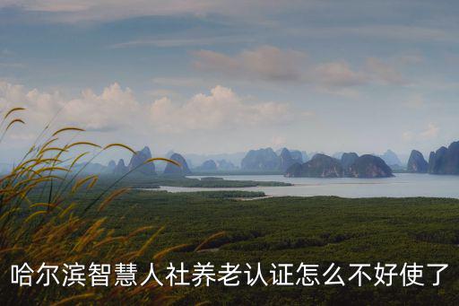 哈爾濱智慧人社養老認證怎么不好使了