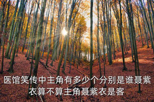 聶紫衣，醫(yī)館笑傳中主角有多少個分別是誰聶紫衣算不算主角聶紫衣是客