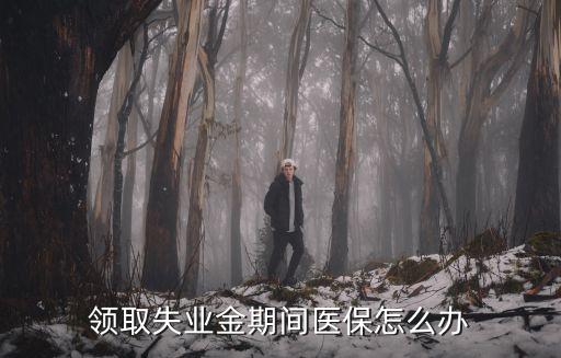 領(lǐng)取失業(yè)金期間醫(yī)保怎么辦