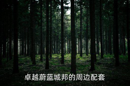 卓越蔚藍城邦的周邊配套