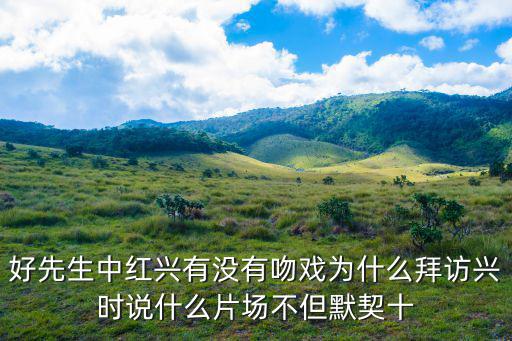 好先生劇情介紹，好先生中紅興有沒有吻戲為什么拜訪興時說什么片場不但默契十