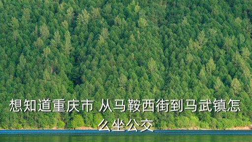 想知道重慶市 從馬鞍西街到馬武鎮怎么坐公交