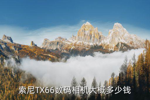 索尼TX66數(shù)碼相機(jī)大概多少錢