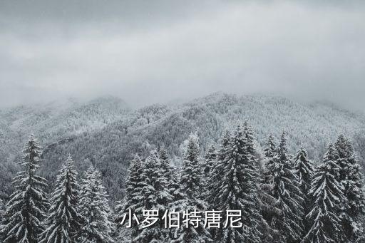 小羅伯特唐尼