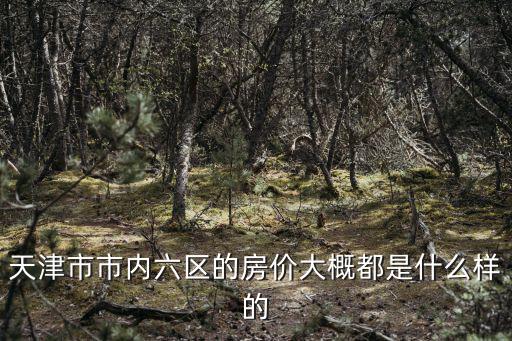 天津市市內(nèi)六區(qū)的房價(jià)大概都是什么樣的