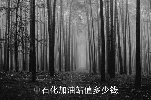 中石化加油站值多少錢