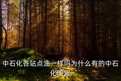 中石化各站點油一樣嗎為什么有的中石化便宜
