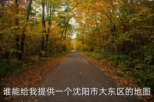 誰能給我提供一個沈陽市大東區的地圖