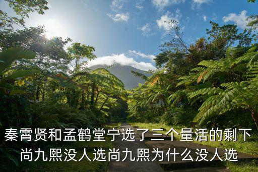 秦霄賢和孟鶴堂寧選了三個量活的剩下尚九熙沒人選尚九熙為什么沒人選