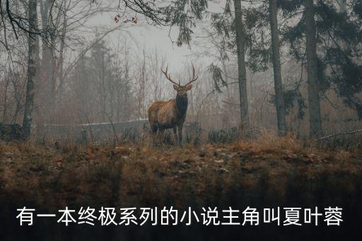 終極追捕，有一本終極系列的小說主角叫夏葉蓉