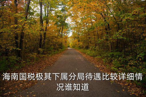 海南國家稅務(wù)，海南國稅局長叫什么名字