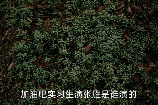 加油吧實習生演張勝是誰演的