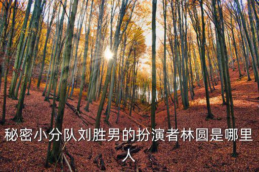 秘密小分隊(duì)劉勝男的扮演者林圓是哪里人