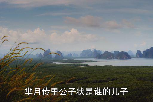 羋月傳里公子狀是誰的兒子