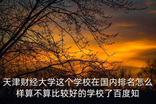 天津財大，天津財經大學