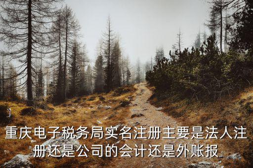 重慶電子稅務(wù)局實(shí)名注冊(cè)主要是法人注冊(cè)還是公司的會(huì)計(jì)還是外賬報(bào)