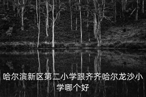 龍沙小學，龍沙小小學在哪