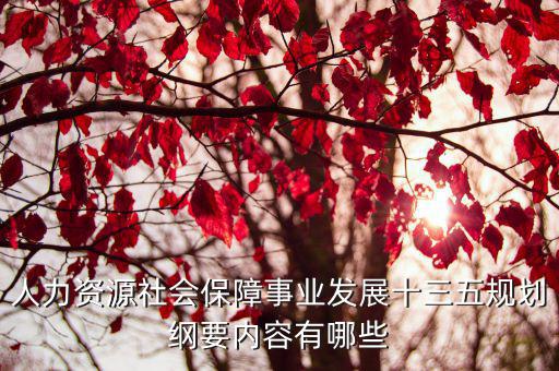人力資源社會保障事業(yè)發(fā)展十三五規(guī)劃綱要內容有哪些