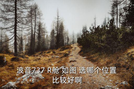 波音737 R艙 如圖 選哪個位置比較好啊