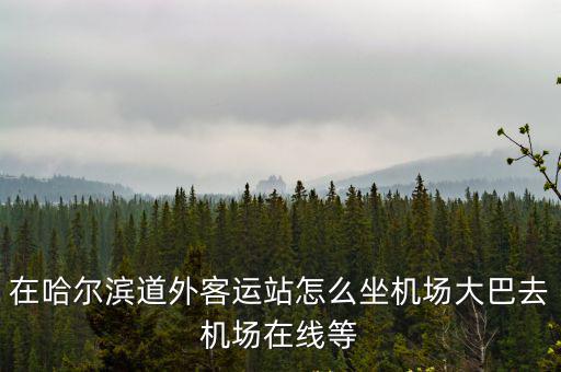 哈爾濱道外客運站，哈爾濱道外客運站地址
