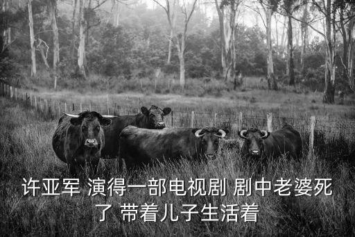 許亞軍 演得一部電視劇 劇中老婆死了 帶著兒子生活著