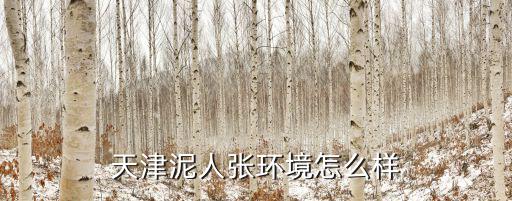 天津泥人張，天津泥人張哪里有賣價格怎么樣