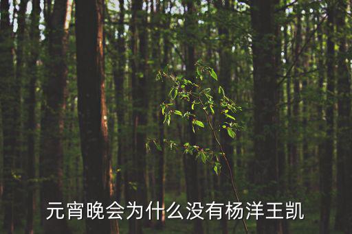 元宵晚會為什么沒有楊洋王凱