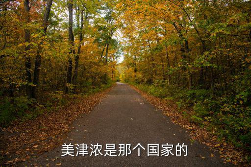美津濃，美津濃是那個國家的