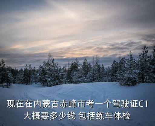 赤峰駕駛證，關于在赤峰考駕照