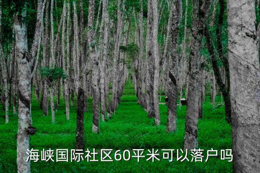 海峽國際社區(qū)60平米可以落戶嗎