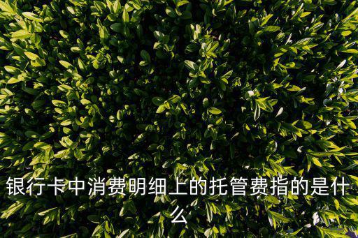 銀行卡中消費(fèi)明細(xì)上的托管費(fèi)指的是什么
