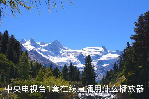 中央電視臺1套在線直播用什么播放器